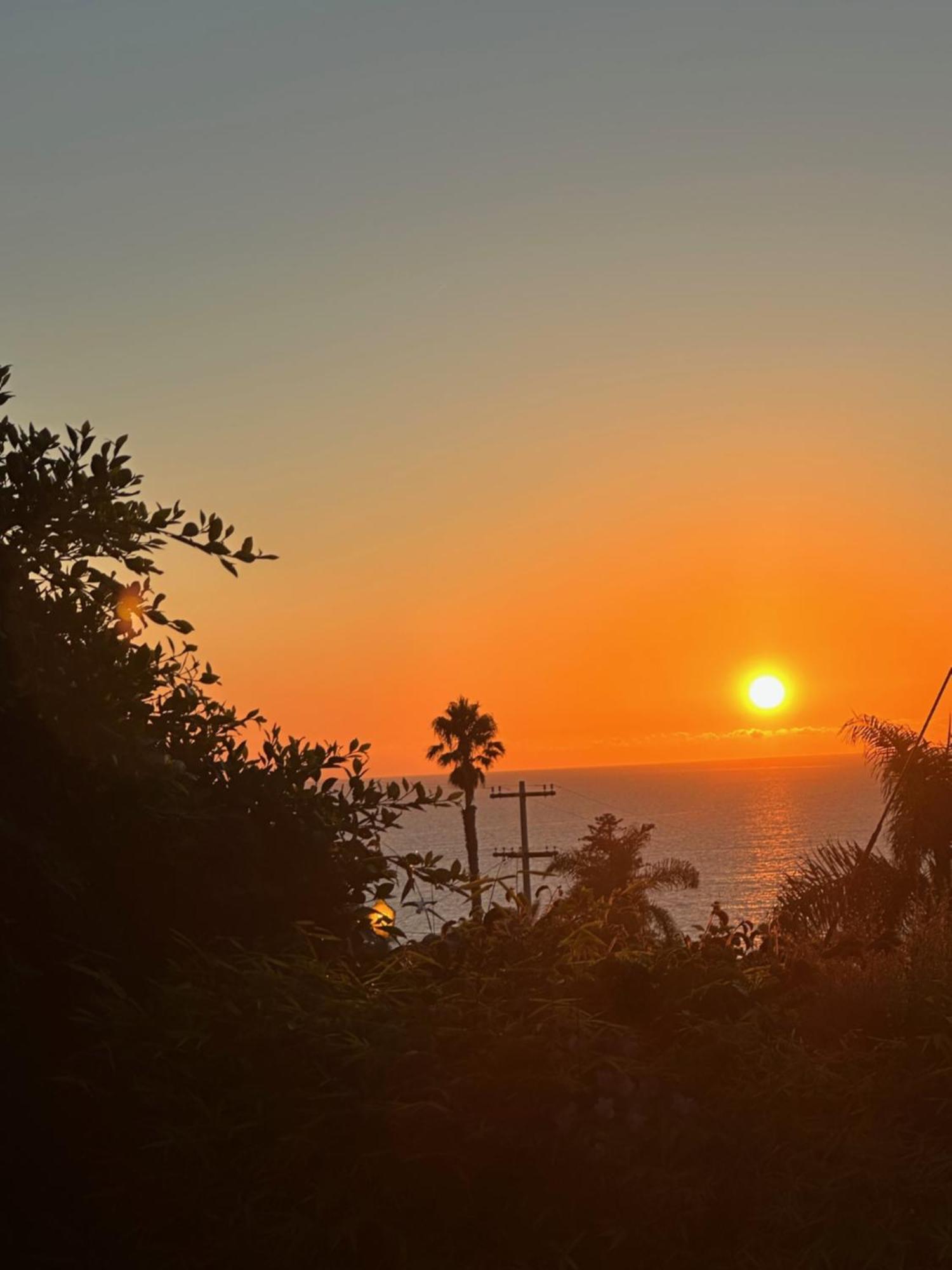 Contemporary Ocean Sunset Views With Firepit Pt Loma Close To Plnu San Diego Extérieur photo
