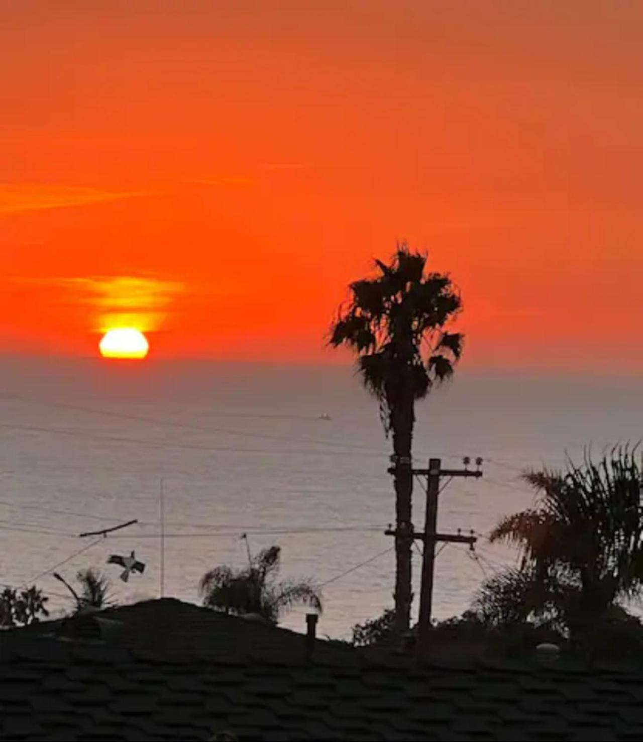 Contemporary Ocean Sunset Views With Firepit Pt Loma Close To Plnu San Diego Extérieur photo